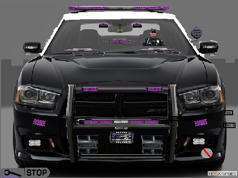 Metro State Dodge Charger  remix-2