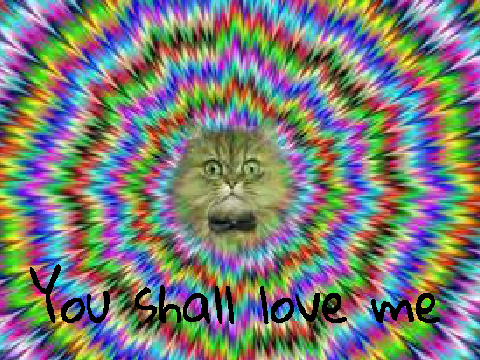 The Cats Gaze deep into your soul