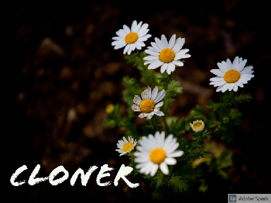 Crazy Cloning!