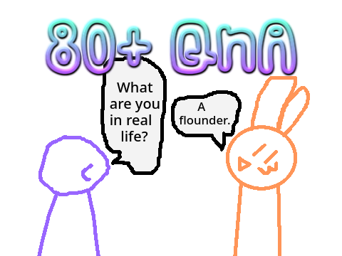 80+ QnA