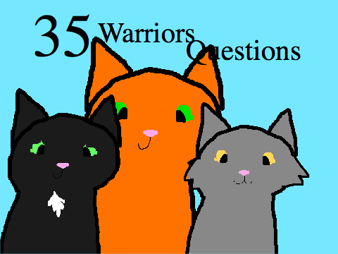 35 warriors questions