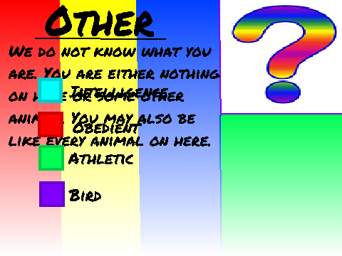 What Animal Are You?