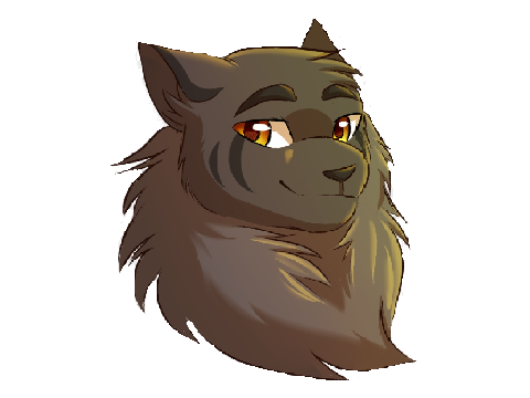 This City~ Graystripe pt2