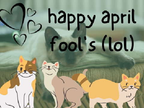 mew purrr meow mrow