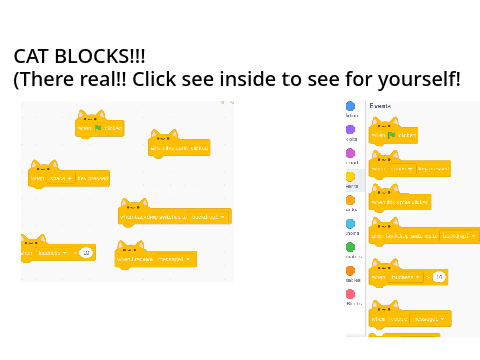CAT BLOCKS!!