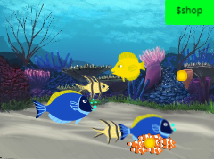 fish tank 