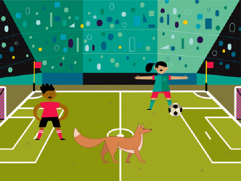 soccer with a fox