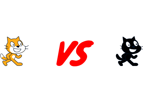 what scratch cat does