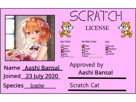 My Scratch License 