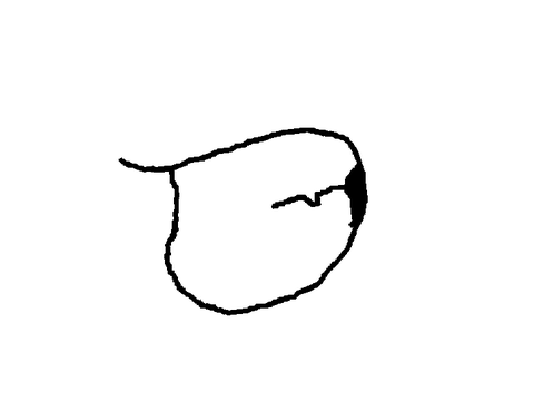 LiP sYnC tEsT fOr BiTmAp