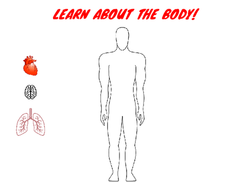 LEARN ABOUT THE BODY