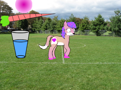 your own virtual pet  