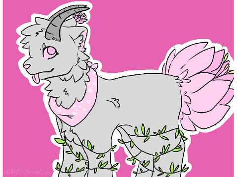 -hollyleaf