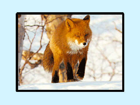 Remix If You Think Foxes Are Cute remix