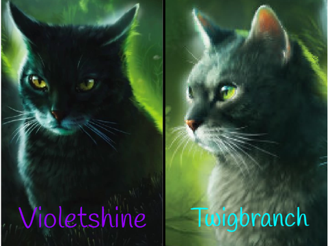 Violetshine or Twigbranch