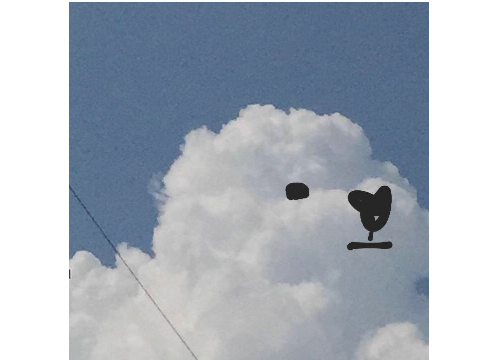 bears✈☁