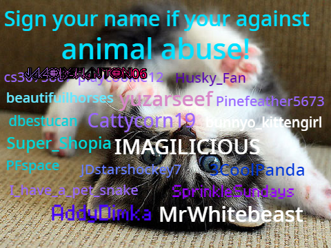 Sign if you are against animal abuse! remix remix remix remix remix remix remix remix remix r… remix