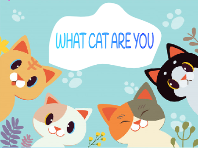 WHAT CAT ARE YOU
