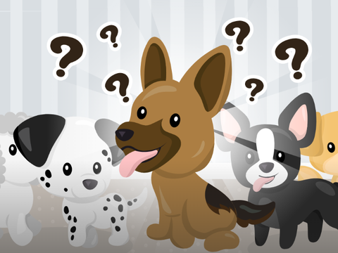 Puppy Personality Quiz remix