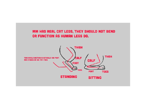 How Mao Mao’s legs work (By Parker Simmons)