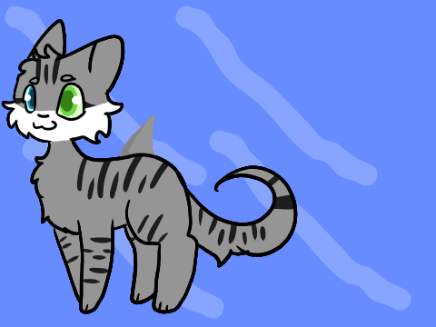 my cat
