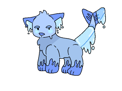 i drew cats/dogs for the first time please help