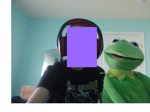 kermit came over to my house