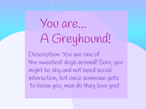 What dog breed are you? Quiz