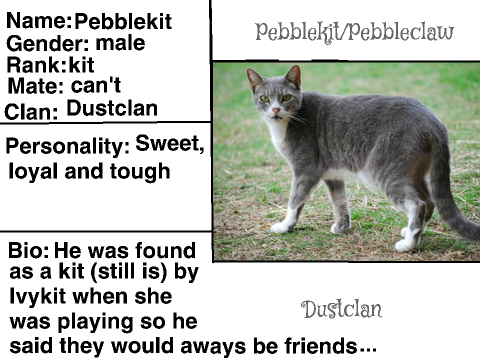 Warrior Cats RPG Sign up sheet: remix-2