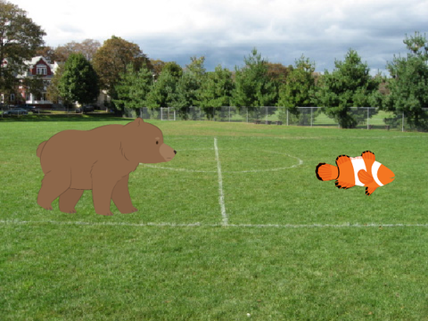 The bear game?
