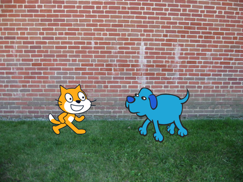 Confused cat and dog