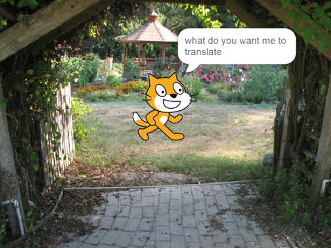scratch translate!!!!