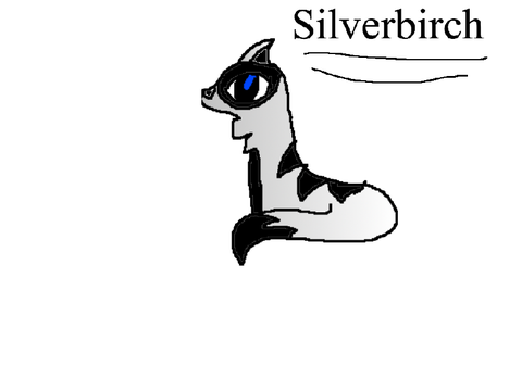 Silverbirch for @Huskeyleap555