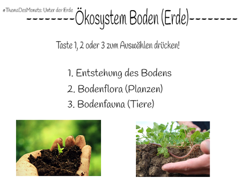 Ökosystem Boden