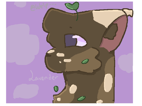 Pfp for @-honeylavender