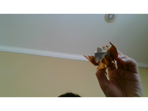 |Round 1| Origami I designed :P
