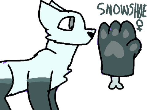SnowShoe