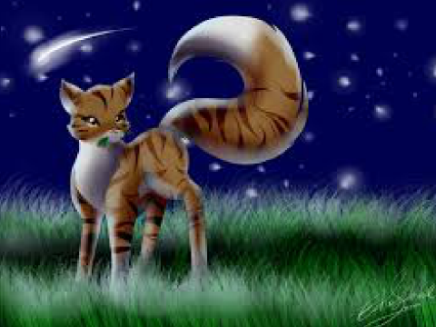 Warrior Cat Songs #5