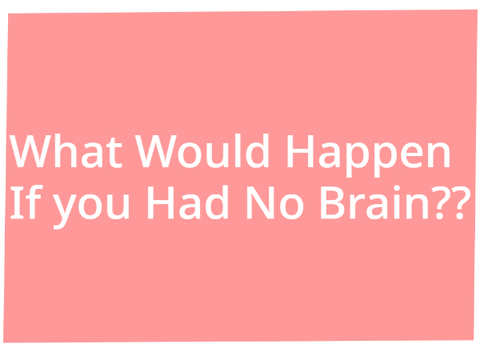IF YOU HAD NO BRAIN?? (For School)