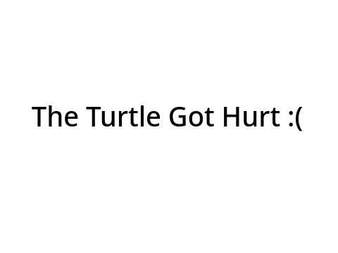 Turtle Dodge OT