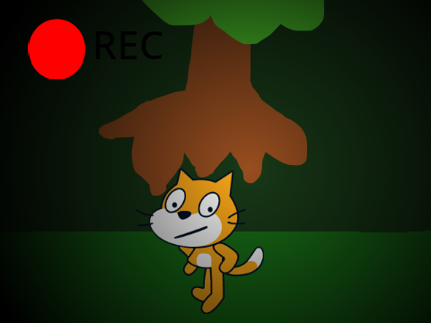 The Forest