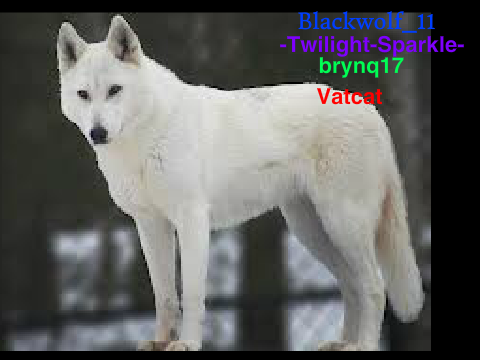 Sign Here if you're against Wolf hunters remix remix remix remix-2 remix