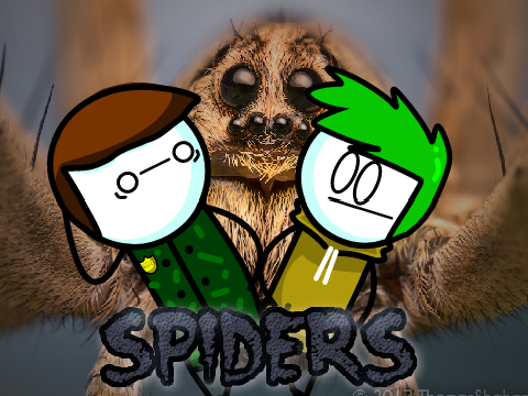 Spiders ¦¦ Animation