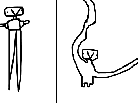Long Legs or Long Arms