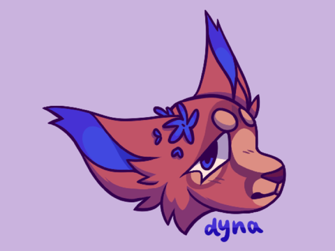 hydrangea catte