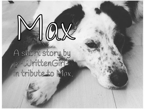 Max - a short story