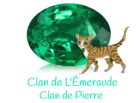 Clan de l'Émeraude, venez voir svp ! remix