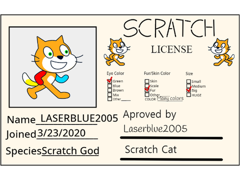 My License