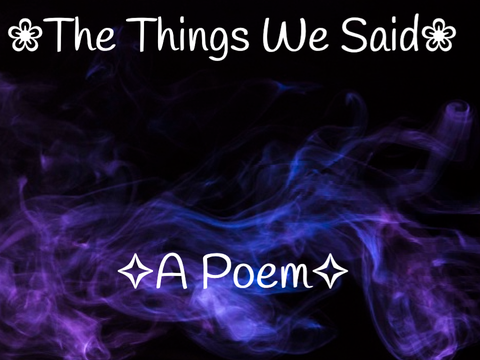 The Things We Said (Poem)