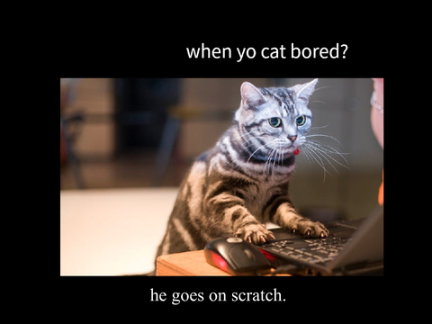 Meme Competition entry #shortlisted.